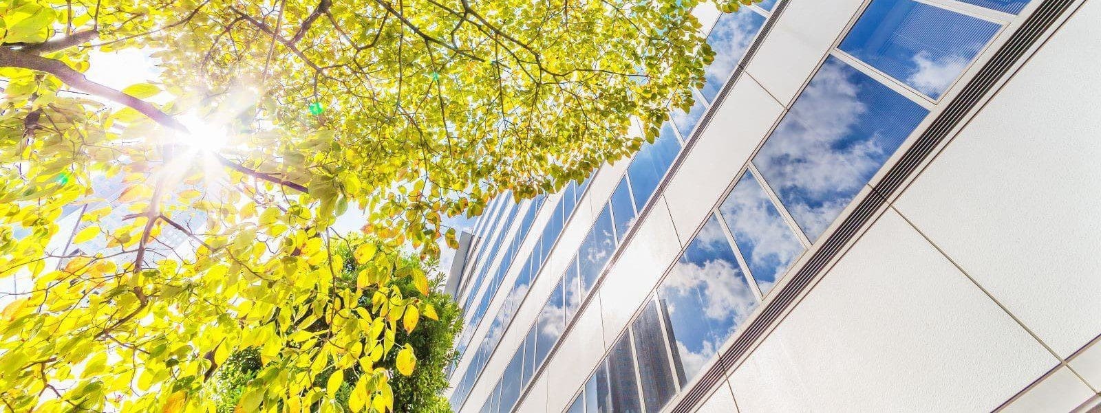 shutterstock_733709023 (banner)