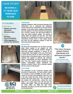 Terrazzo Floor