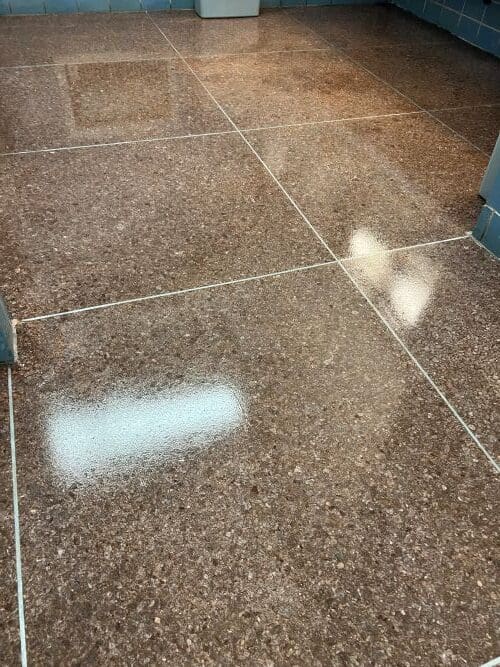 terrazzo floors locker room