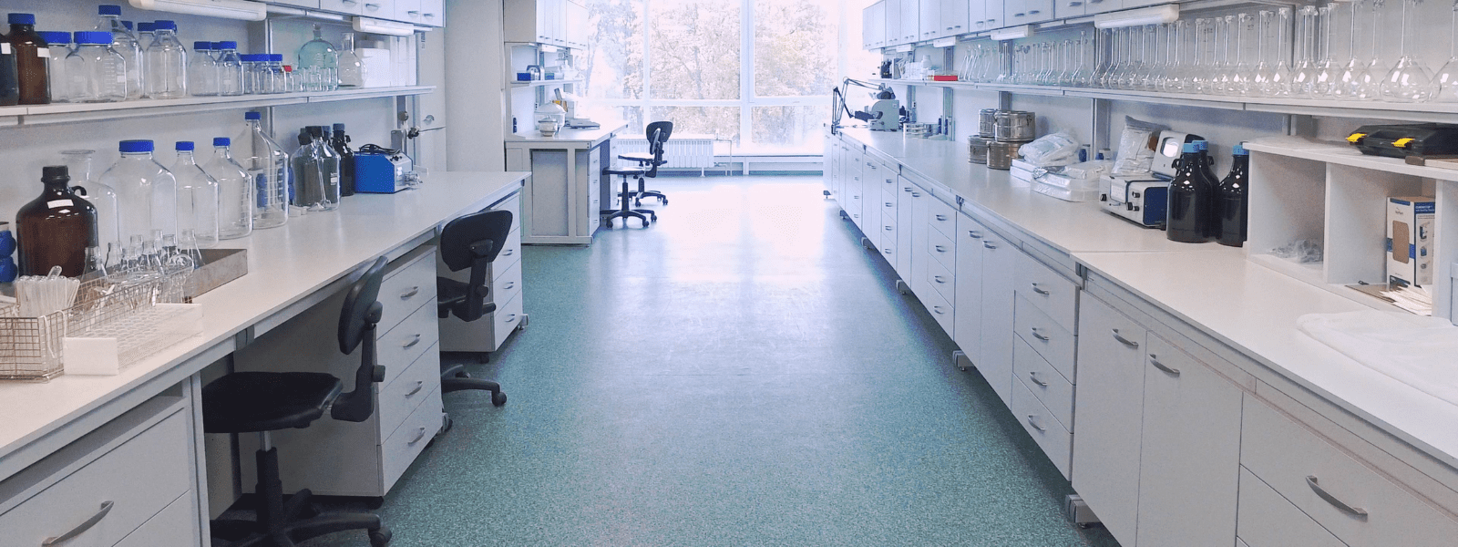 lab